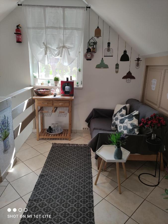 Zala Holiday Apartman ケストヘイ エクステリア 写真