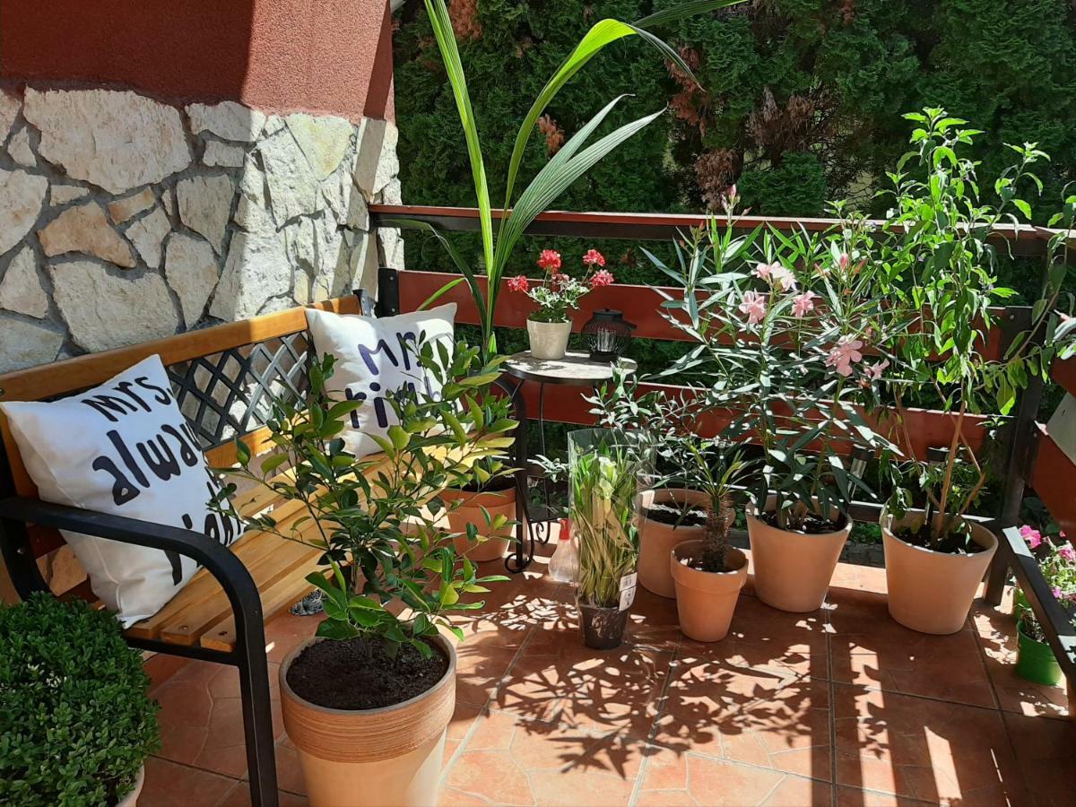 Zala Holiday Apartman ケストヘイ エクステリア 写真